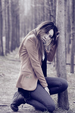 中文字幕搜索功能展示